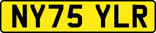 NY75YLR