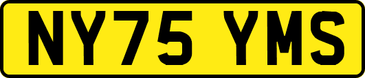NY75YMS