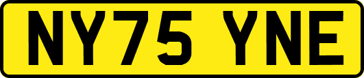 NY75YNE