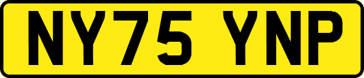NY75YNP