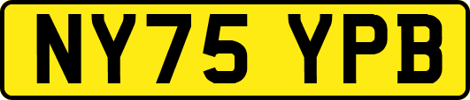NY75YPB