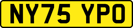 NY75YPO