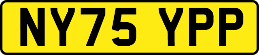NY75YPP