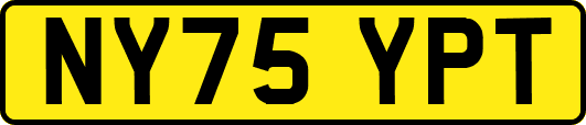 NY75YPT