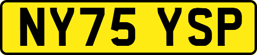 NY75YSP