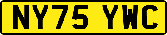 NY75YWC