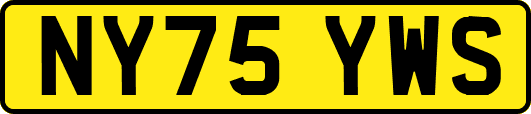 NY75YWS