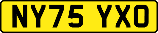 NY75YXO