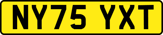 NY75YXT