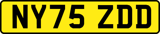 NY75ZDD