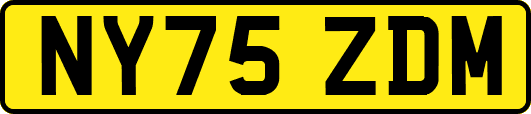 NY75ZDM