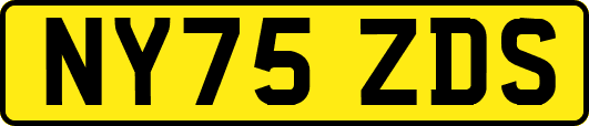 NY75ZDS