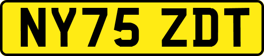NY75ZDT