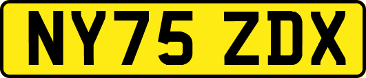 NY75ZDX
