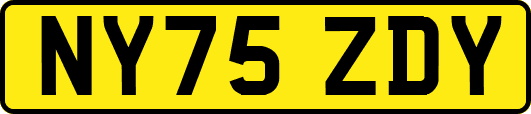 NY75ZDY