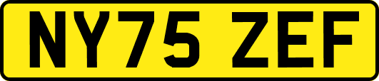 NY75ZEF