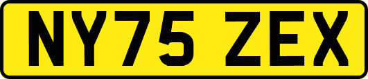 NY75ZEX