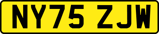 NY75ZJW