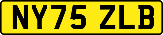 NY75ZLB
