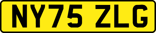 NY75ZLG