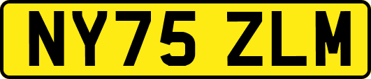 NY75ZLM