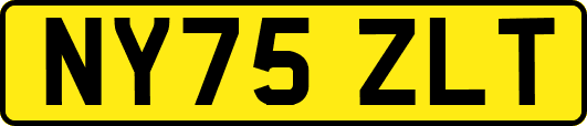 NY75ZLT