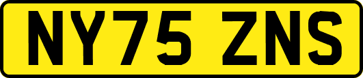 NY75ZNS