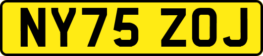 NY75ZOJ
