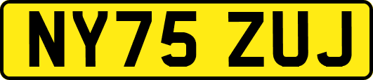 NY75ZUJ