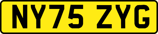 NY75ZYG