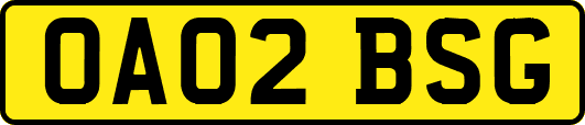 OA02BSG