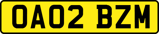 OA02BZM