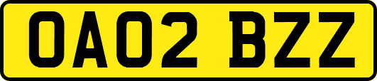 OA02BZZ