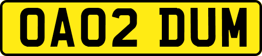 OA02DUM