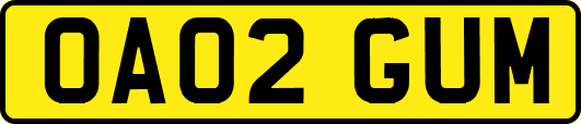 OA02GUM