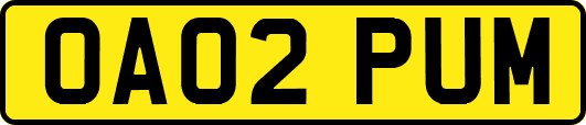 OA02PUM
