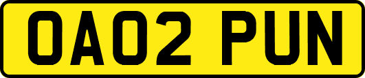 OA02PUN