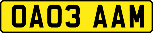OA03AAM