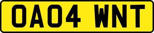 OA04WNT