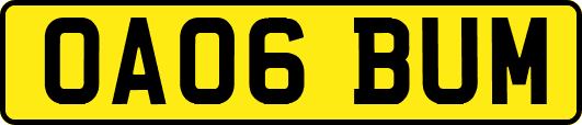OA06BUM