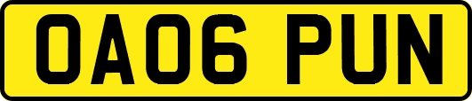 OA06PUN