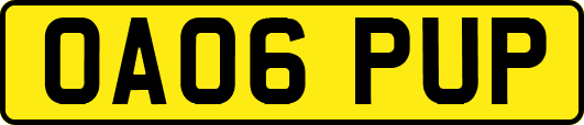 OA06PUP