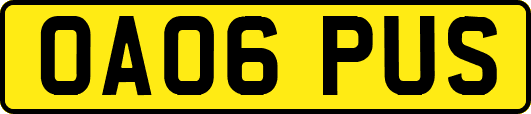 OA06PUS