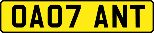 OA07ANT