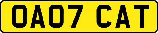 OA07CAT