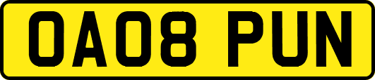 OA08PUN