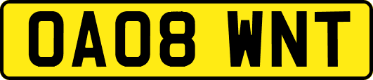 OA08WNT