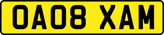 OA08XAM