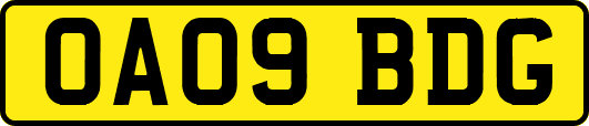 OA09BDG