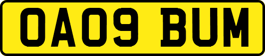 OA09BUM